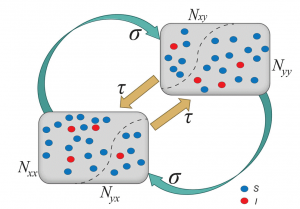 Commuting process between two subpopulations x, y. The cyan and orange arrows indicate the back and forth commuting flows.